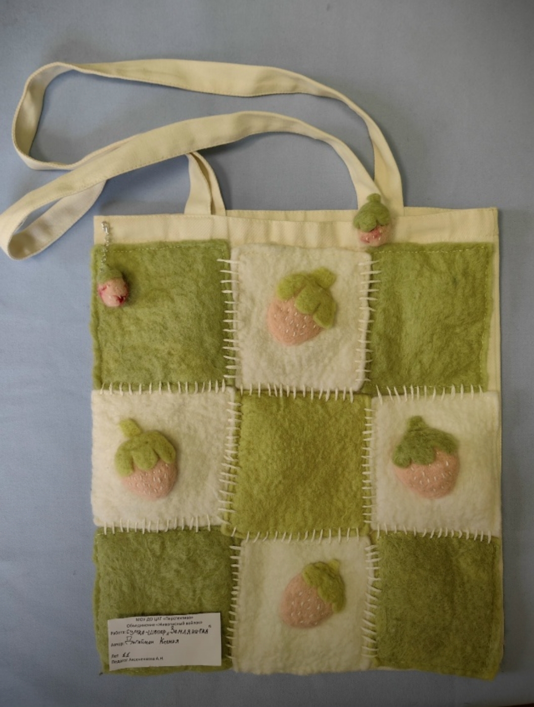 dogayman kseniya 11 let sumka-shoper zemlyanichka